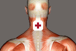 bless_cervical